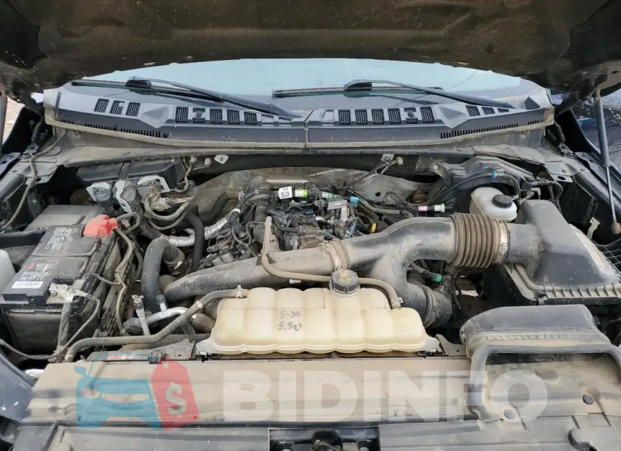 1FTEW1EP6KKC69451 Photo# 11