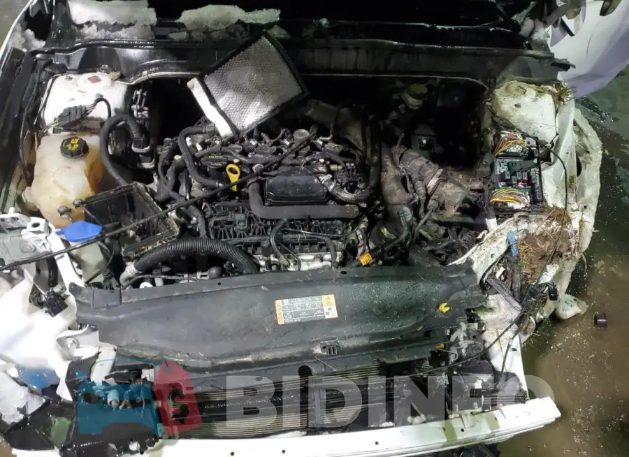 3FA6P0HD7FR233417 Photo# 11