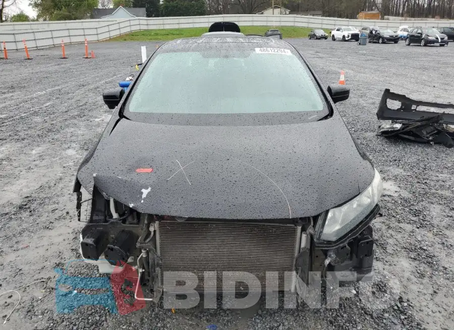 19XFB2F81FE244236 Photo# 5