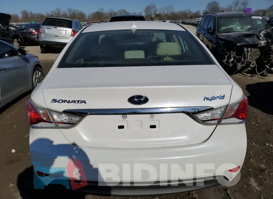 KMHEC4A42FA126591 Photo# 6