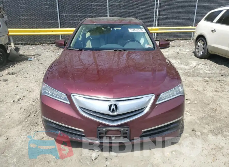 19UUB1F59FA005206 Photo# 5