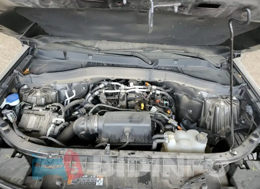 1FMSK7DH5MGC43677 Photo# 12