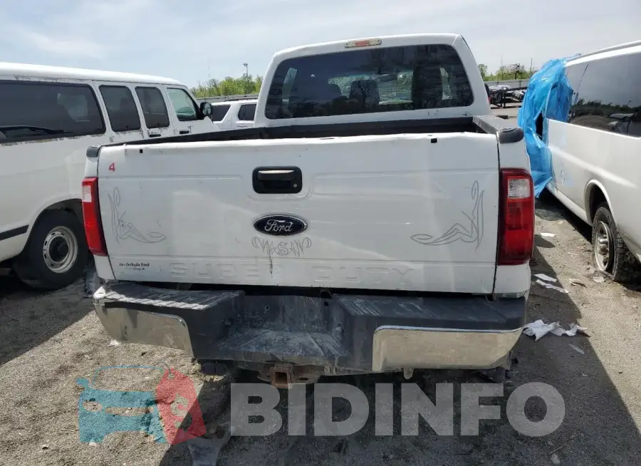 1FT8W3BT1GEA11256 Photo# 6