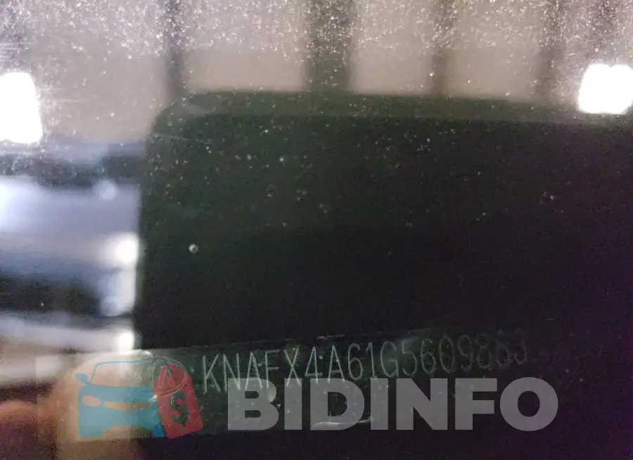 KNAFX4A61G5609883 Photo# 12