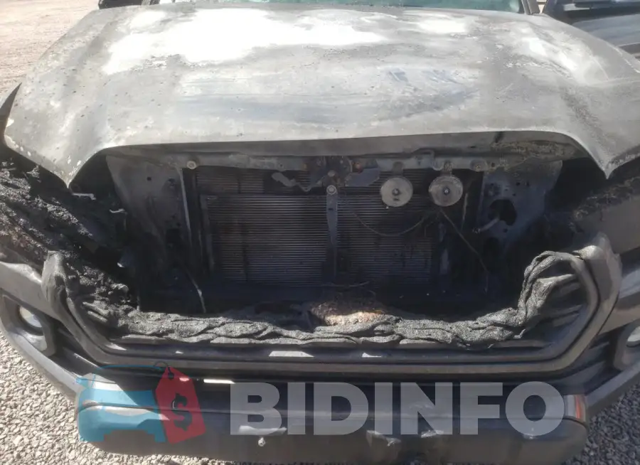 3TMDZ5BNXMM100994 Photo# 11