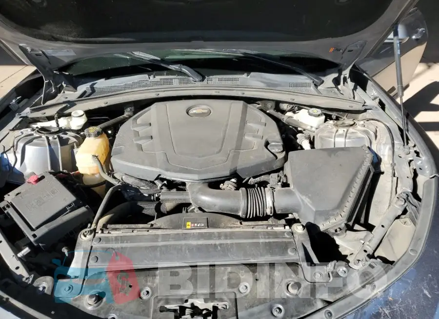 1G1FB1RS8K0159634 Photo# 11