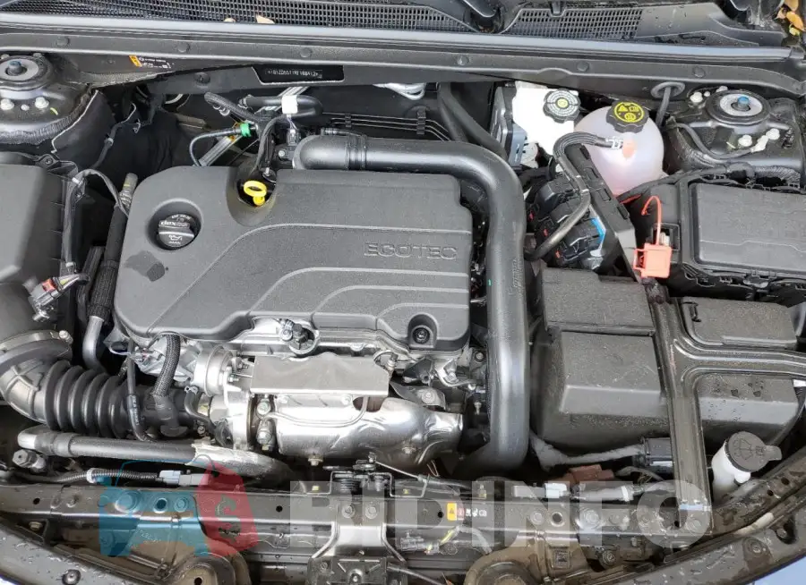 1G1ZD5ST1RF168412 Photo# 11