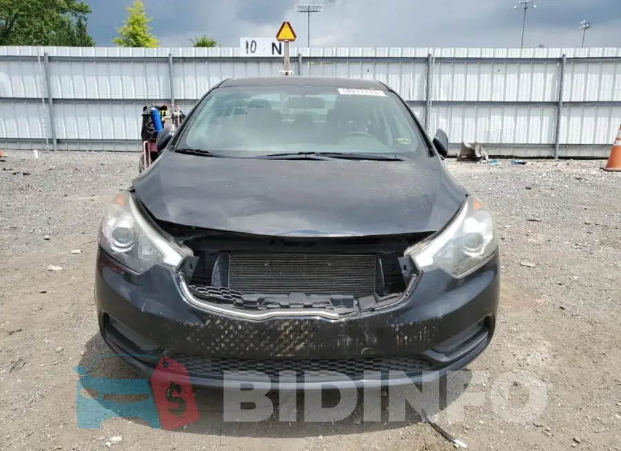 KNAFX4A65F5411533 Photo# 5