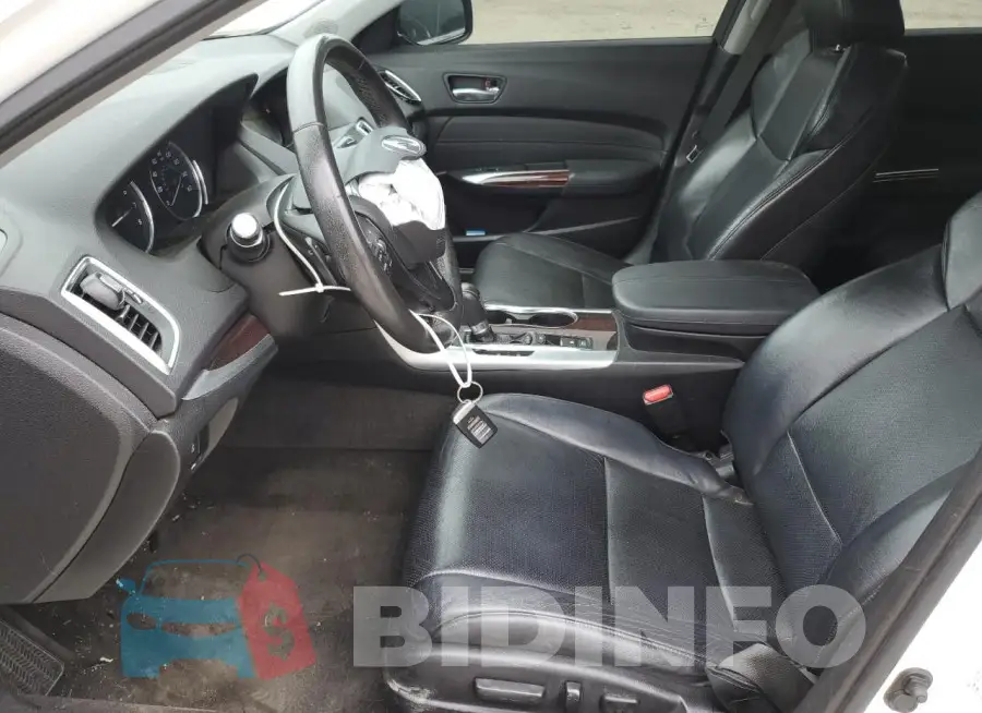 19UUB1F50FA002856 Photo# 7