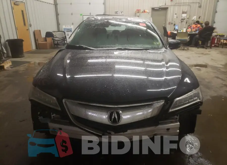 19UUB1F52FA018976 Photo# 5