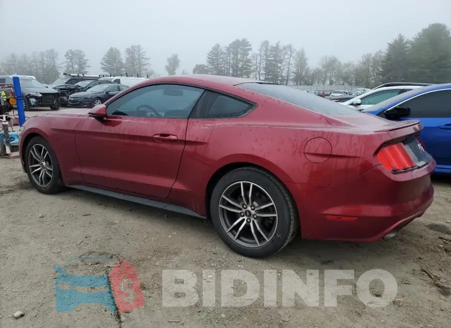 1FA6P8TH2H5221206 Photo# 2