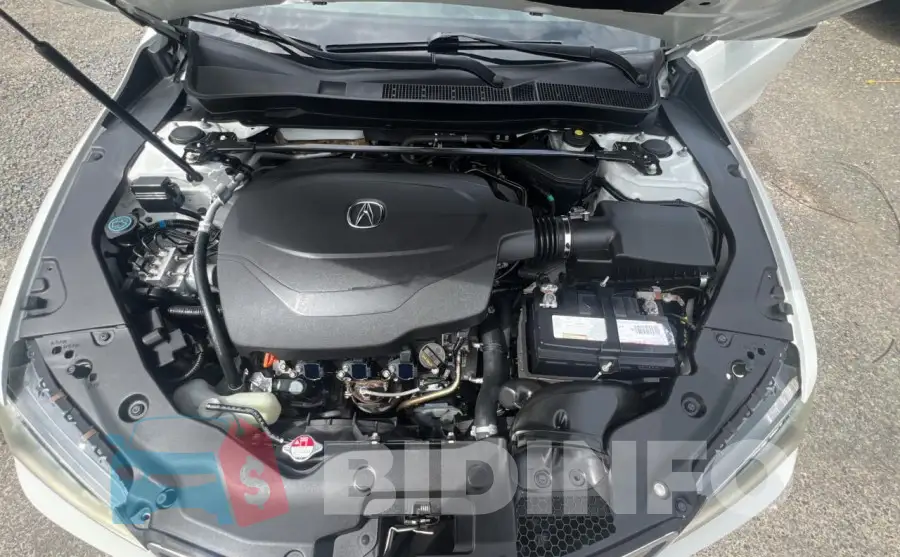 19UUB2F75FA015321 Photo# 7