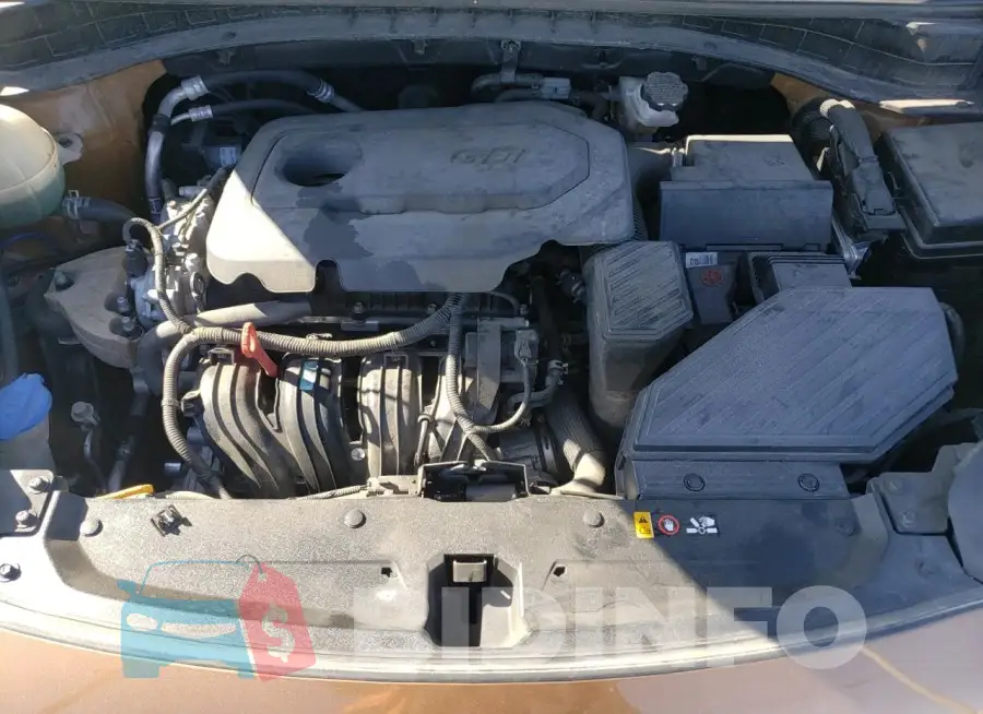 KNDPM3AC0K7581877 Photo# 12
