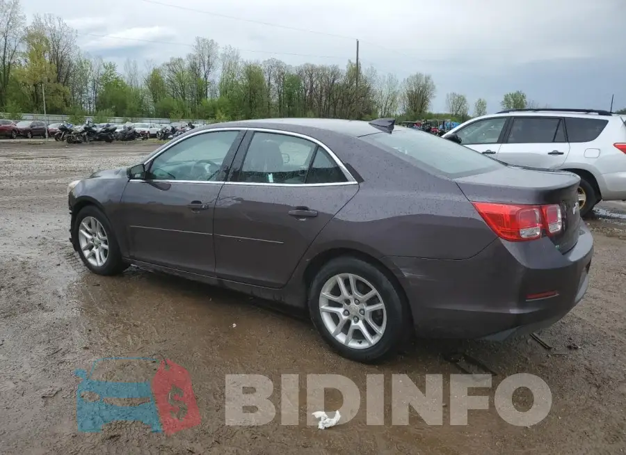 1G11C5SLXFF144444 Photo# 2