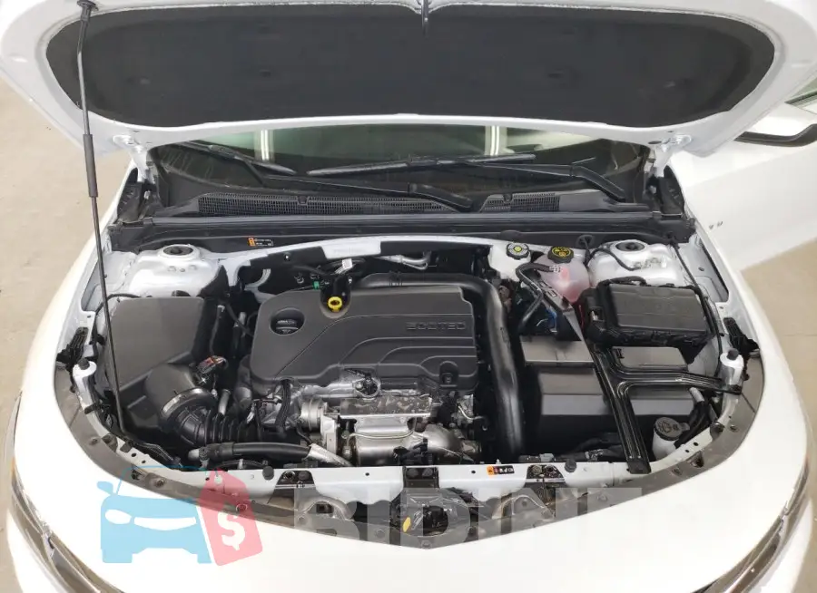 1G1ZD5ST2RF172825 Photo# 11