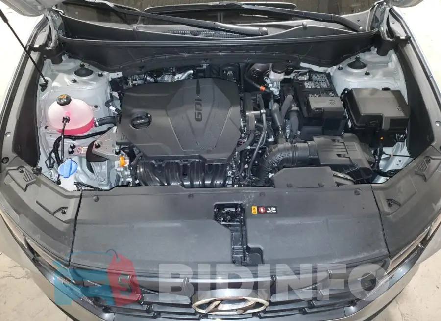 5NMJBCDE9RH301966 Photo# 11
