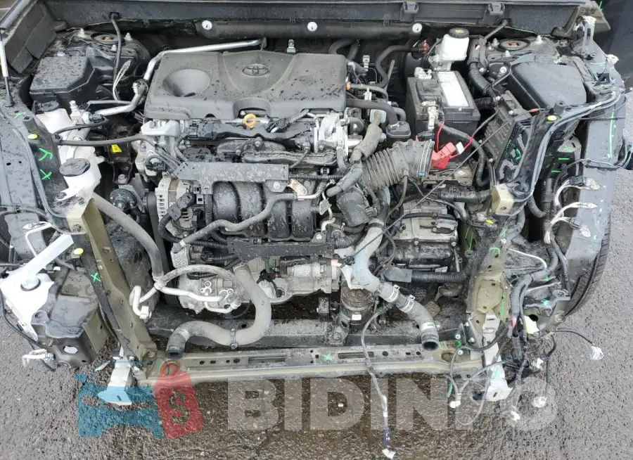 2T3J1RFV4KC056242 Photo# 12
