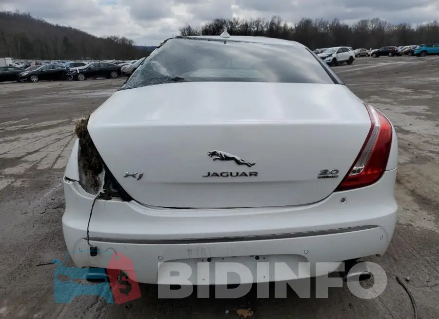 SAJWJ1CD1F8V82911 Photo# 6