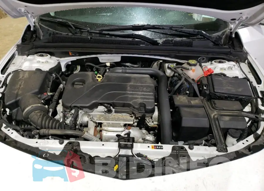 1G1ZD5ST7MF060787 Photo# 11