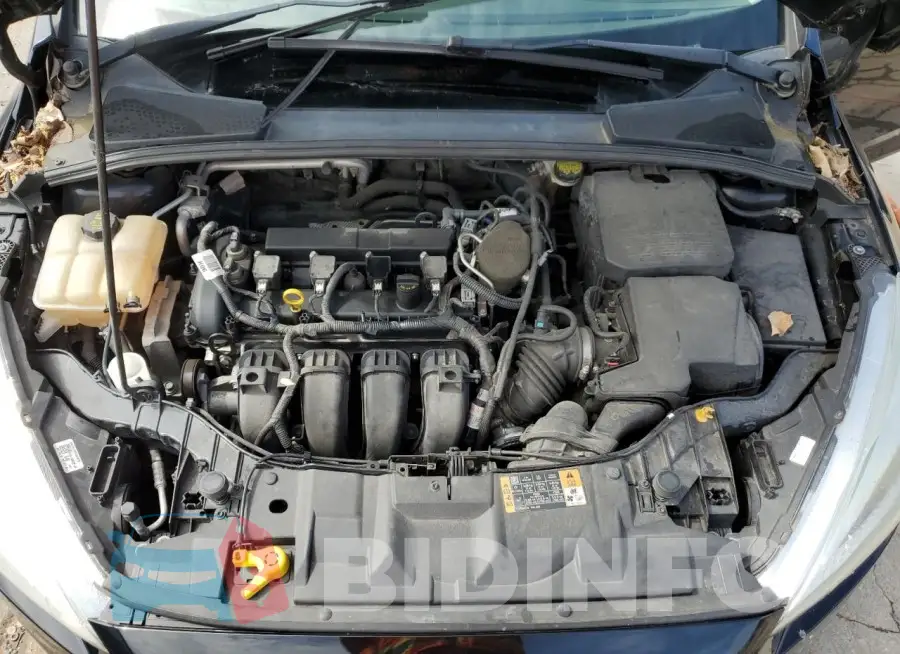 1FADP3F20GL291122 Photo# 11