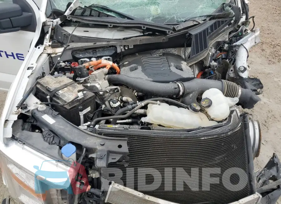 1FTFW1CD6MFB10681 Photo# 11