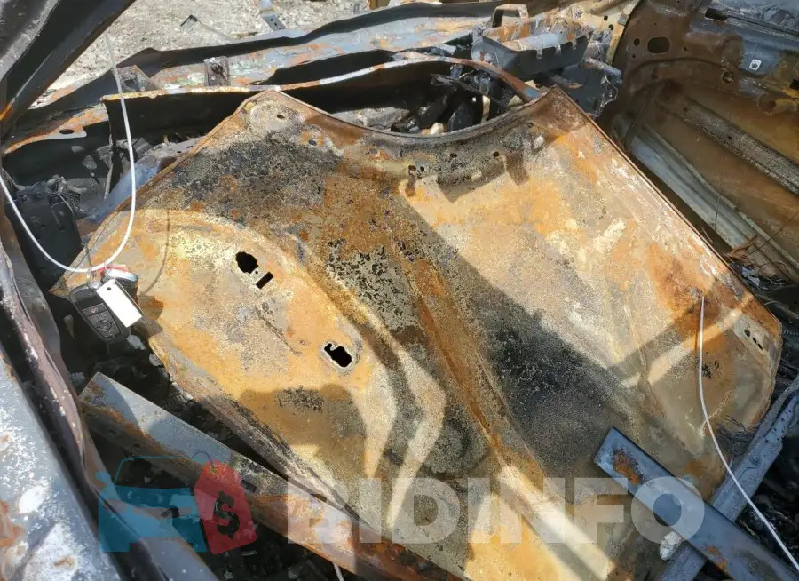 3FMCR9B61NRD58932 Photo# 8