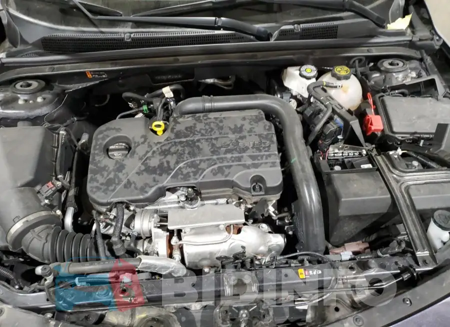 1G1ZD5ST3PF215419 Photo# 11
