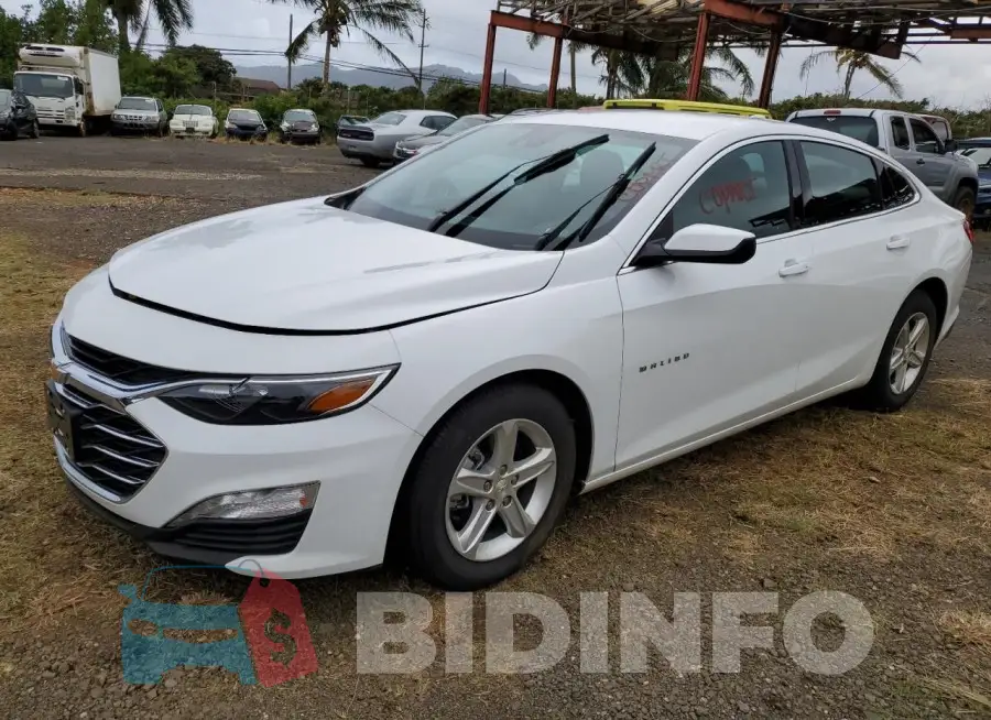 1G1ZD5ST6RF146194 Photo# 1