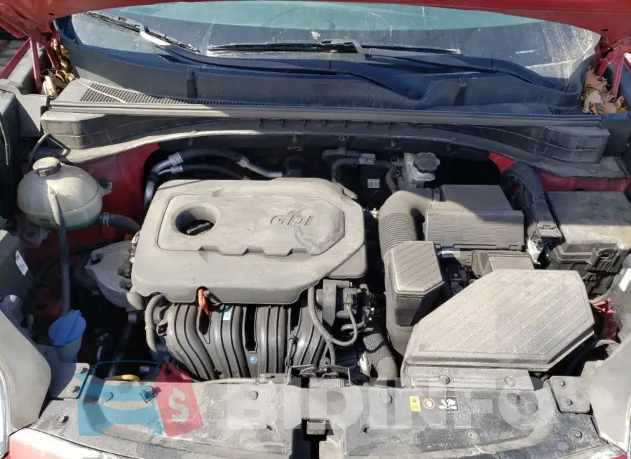 KNDPM3AC2L7699589 Photo# 12