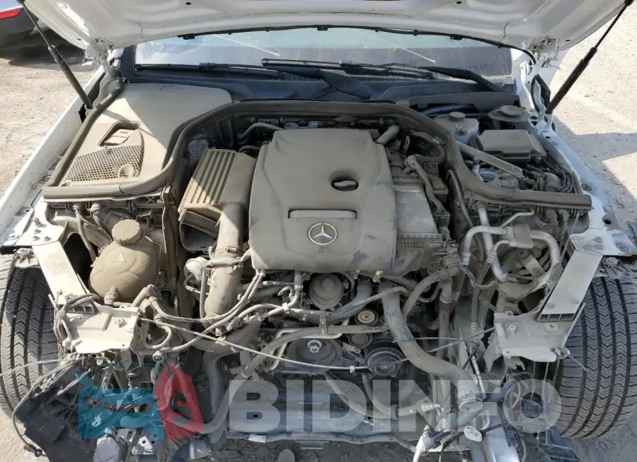WDDZF4JB6KA596005 Photo# 11