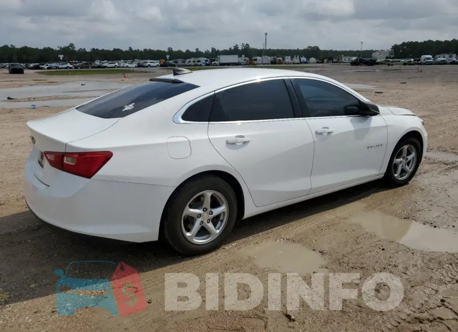 1G1ZB5ST5HF167946 Photo# 3