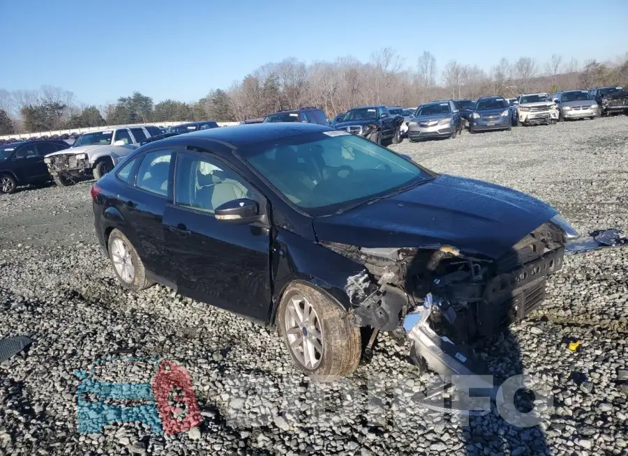 1FADP3F24GL364654 Photo# 4