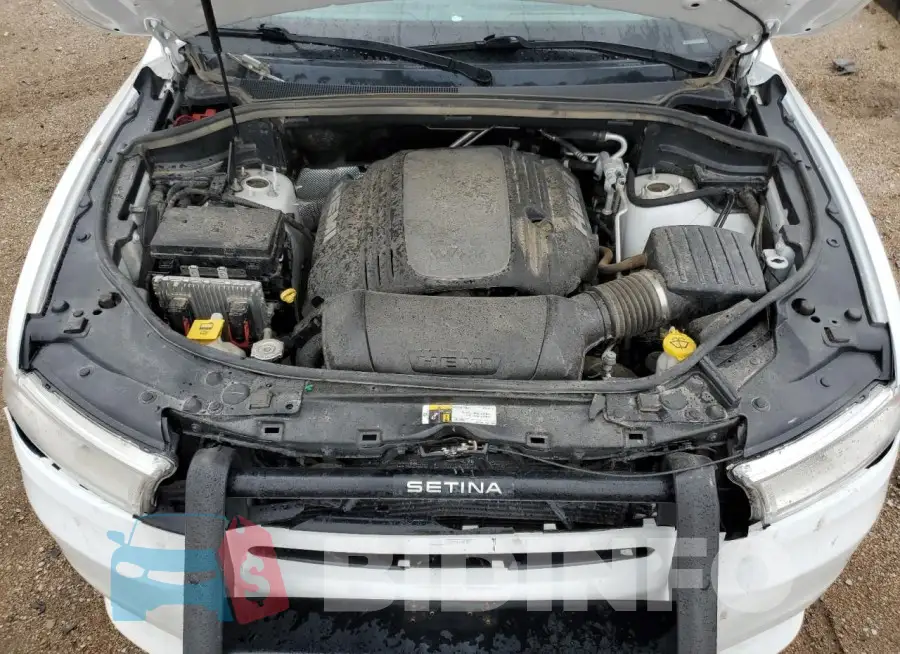 1C4SDJFT5LC215073 Photo# 12