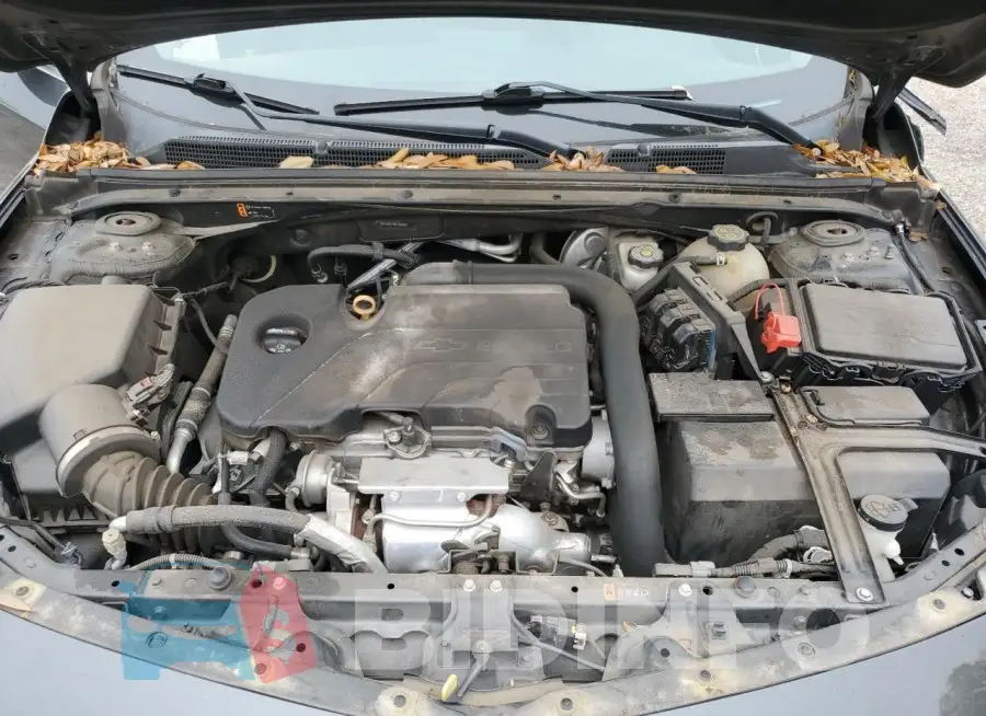 1G1ZE5ST5HF146053 Photo# 11