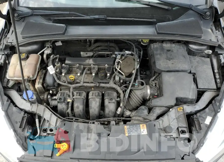 1FADP3E23GL256981 Photo# 11
