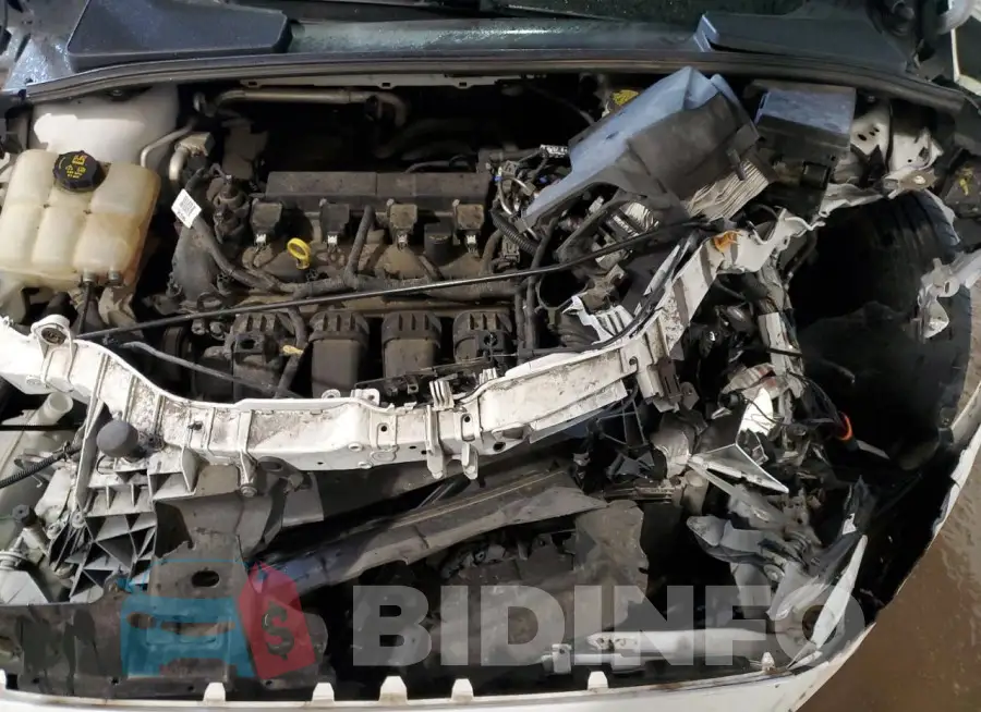 1FADP3F2XHL259652 Photo# 11