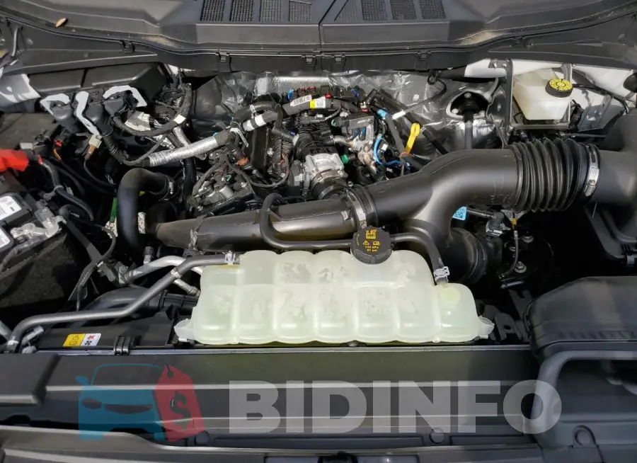 1FTEW1EPXPFD32065 Photo# 11