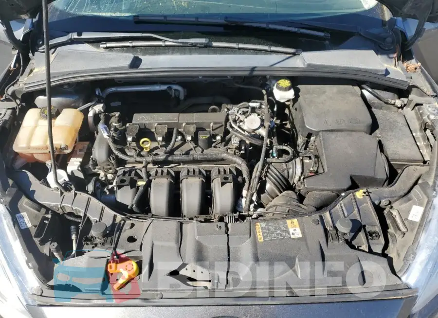 1FADP3F20JL281181 Photo# 11