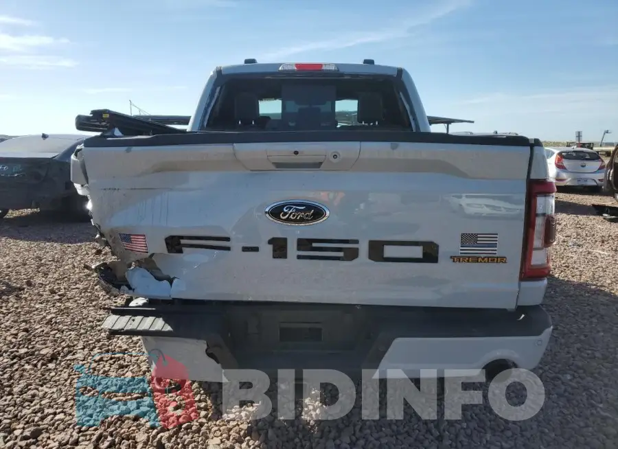 1FTEW1E80PFB96084 Photo# 6