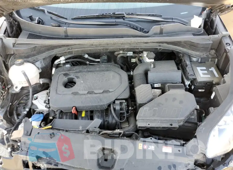 KNDP6CAC2M7876587 Photo# 12
