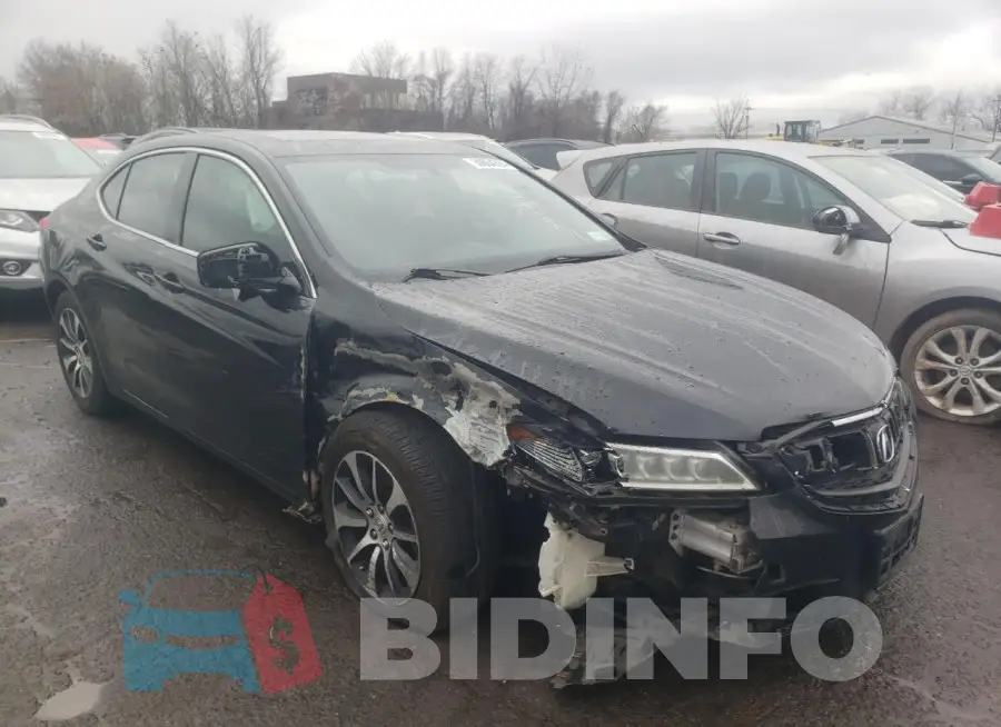 19UUB1F33FA001005 Photo# 4