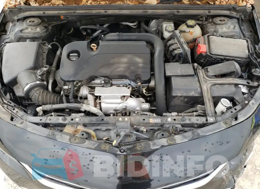 1G1ZB5ST4HF179442 Photo# 11