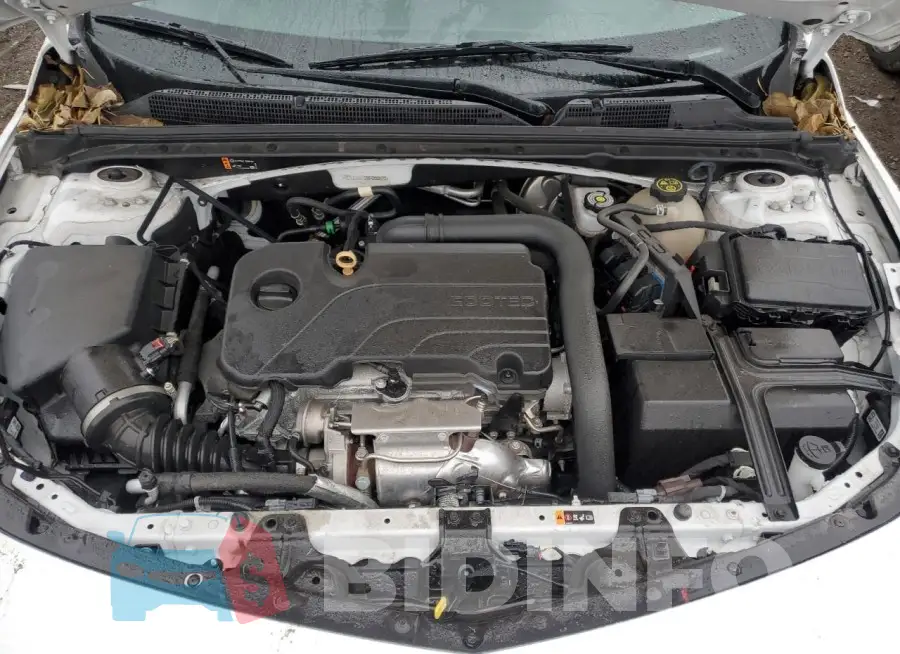 1G1ZG5ST8MF058523 Photo# 11