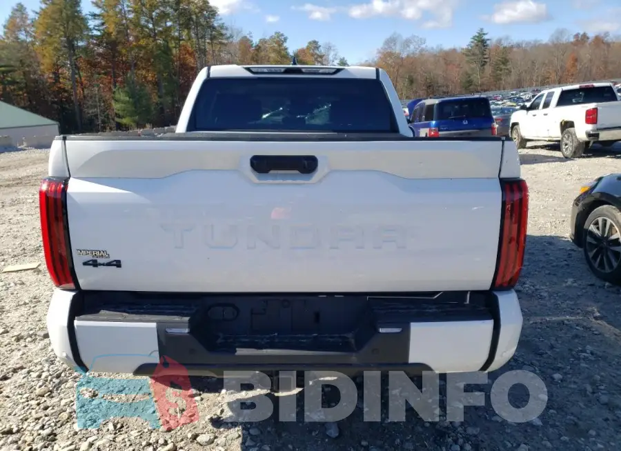 5TFLA5DB1PX113413 Photo# 6