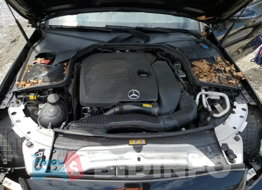 WDDWJ8DB1KF811569 Photo# 11