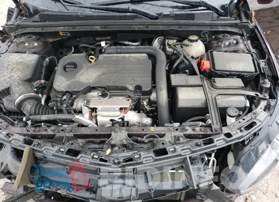 1G1ZD5ST6MF024167 Photo# 11