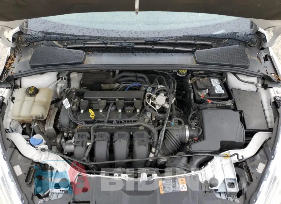 1FADP3J21GL335264 Photo# 11