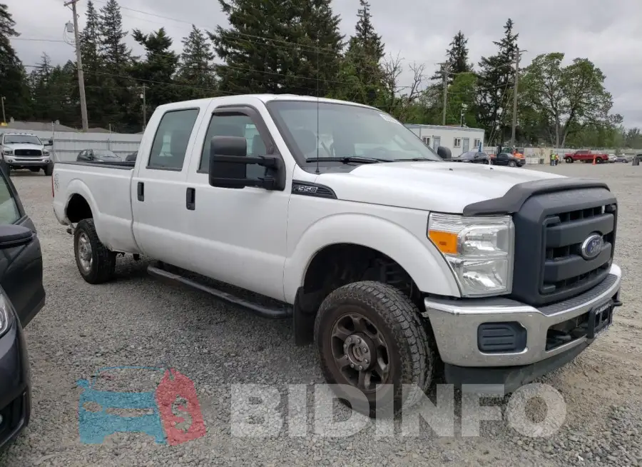 1FT8W3B68FED73609 Photo# 4