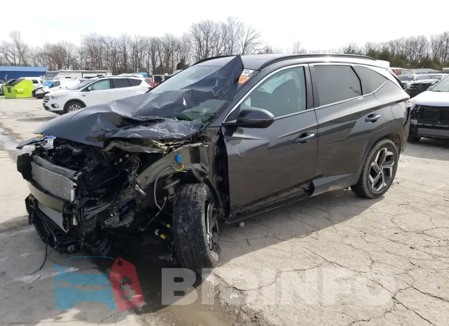 5NMJFCDE9RH306847 Photo# 1