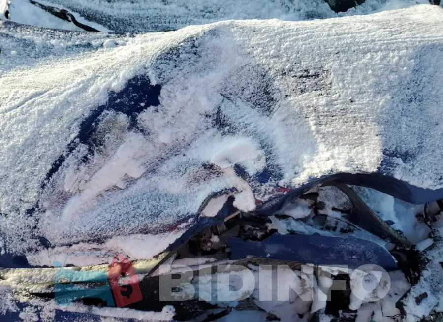 3KPFL4A75HE082413 Photo# 11